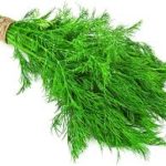 DILL