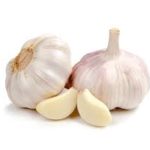 GARLIC