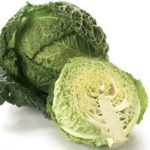 SAVOY CABBAGE