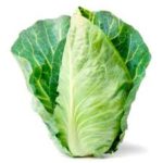 SPRING CABBAGE